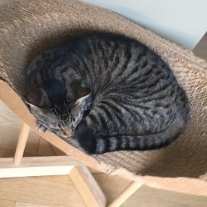 Meet your Posher, Sawyer